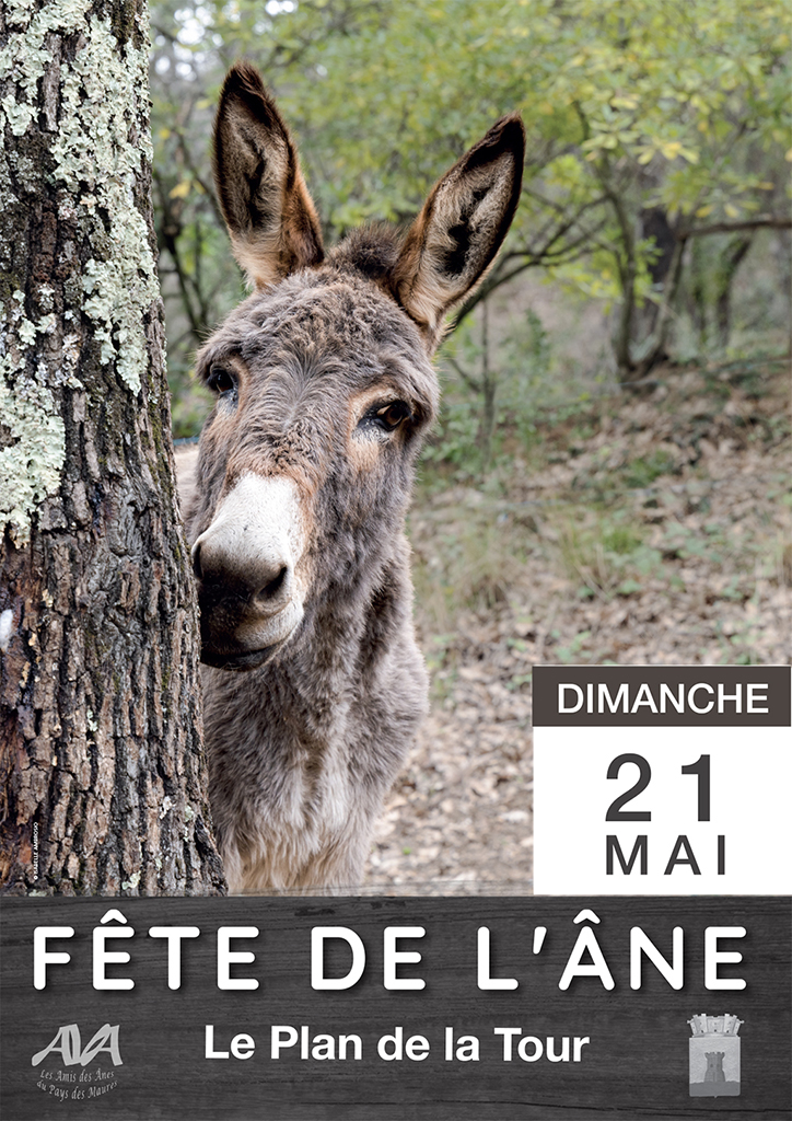 affiche-fete-ane