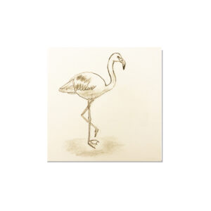 dessin-flamand