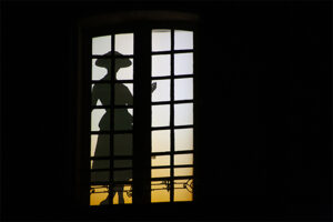 silhouette