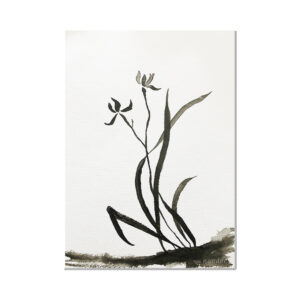encre-orchidee
