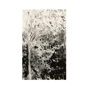 monotype-arbre