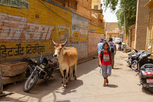 inde-jaisalmer
