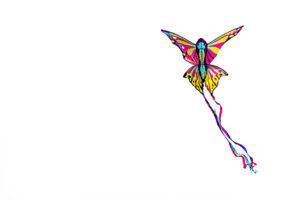 minimalisme-cerf-volant