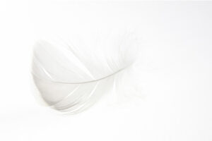minimalisme-plume